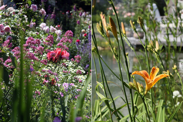 Glende Gartenbau Landschaftsbau Beispiel Gartenplanung Beete Bepflanzungen Pflanzen Blumen Region Hannover