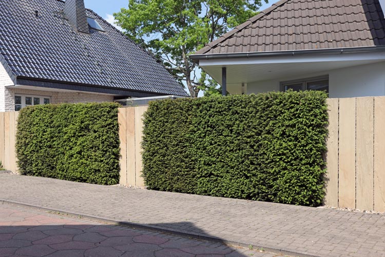 Glende Gartenbau Landschaftsbau Beispiel Gartenplanung Stein Mauer Sichtschutz Region Hannover